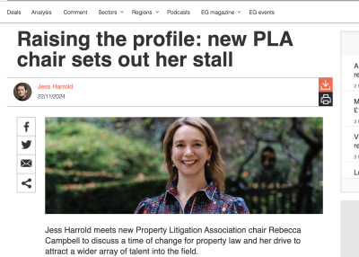 EG: Raising the profile: new PLA chair sets out her stall